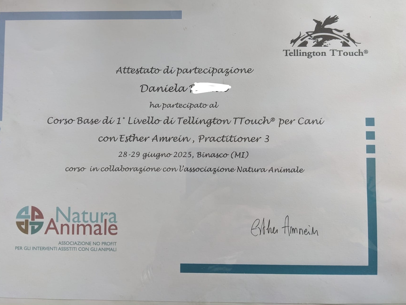 Tellington TTouch – Corso Base 1° Livello per Cani